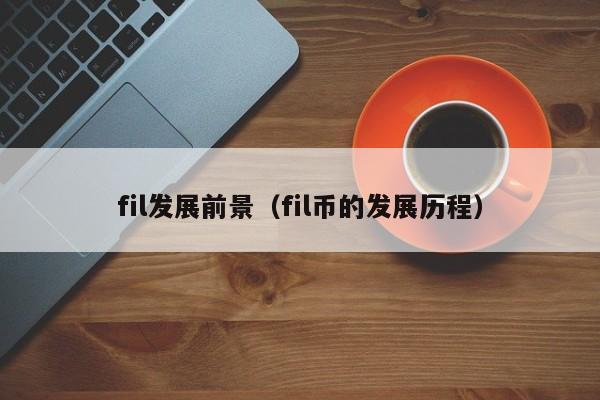 fil发展前景（fil币的发展历程）-第1张图片-科灵网